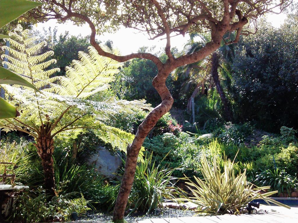 Hout Bay Hideaway Hotel Luaran gambar