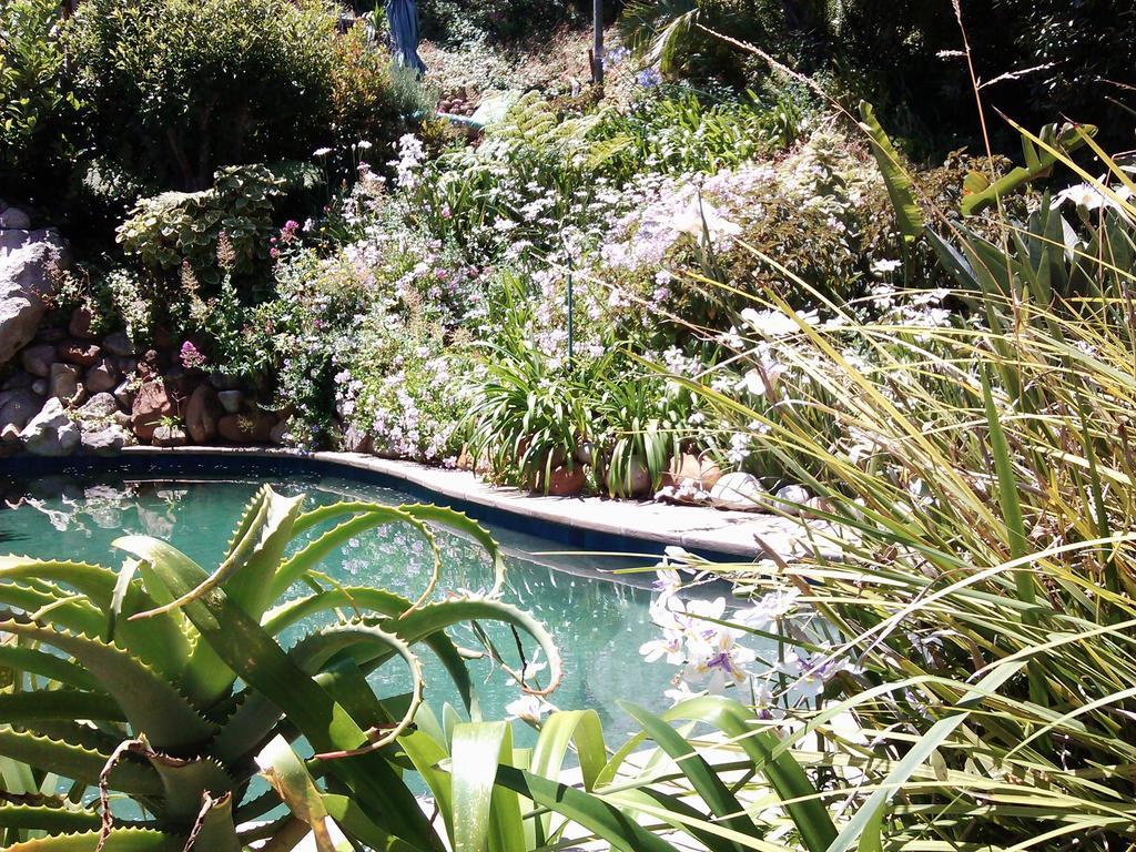 Hout Bay Hideaway Hotel Luaran gambar