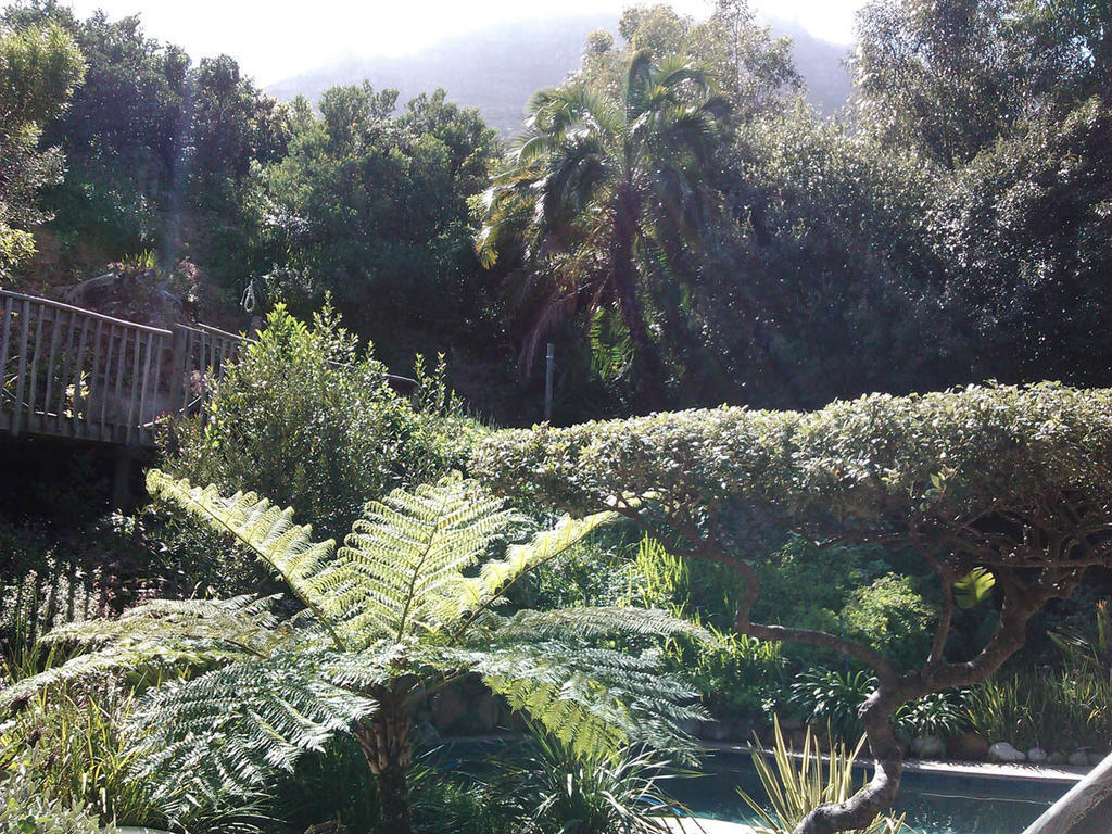 Hout Bay Hideaway Hotel Bilik gambar